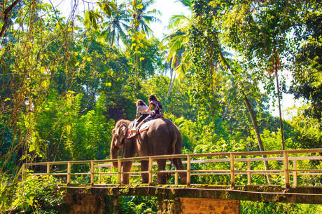 Sri Lanka Turu Salam Air Havayolları İle 6 Gece 8 Gün