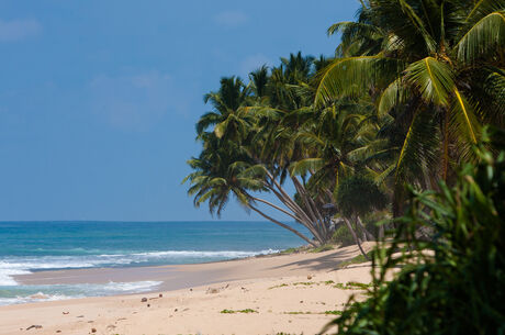 Sri Lanka Turu Salam Air Havayolları İle 6 Gece 8 Gün