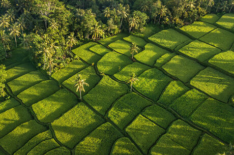 Rüya Ada Bali - Ubud Turu 6 Gece 8 Gün Emirates Havayolları İle