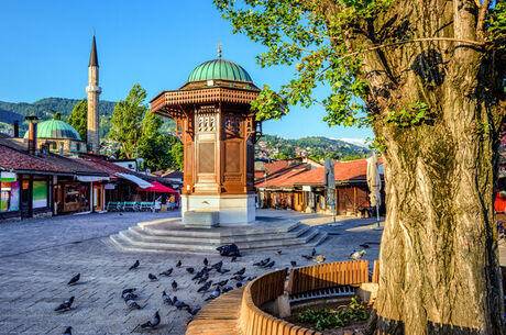 Bursa Hareketli Otobüs ile Baştanbaşa Balkanlar Turu 8 Günde 9 Ülke Akşam Yemekleri ve Extra Turlar Dahil !